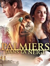 DVD Palmiers Dans La Neige