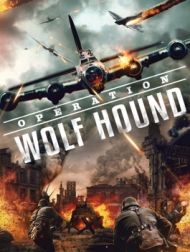DVD Opération Wolf Hound