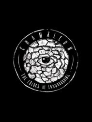 DVD Chamäleon - The Colors Of Snowboarding