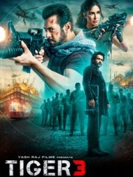 DVD Tiger 3