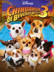 DVD Le Chihuahua De Beverly Hills 3