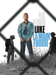 DVD Cool Hand Luke