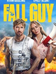 DVD The Fall Guy
