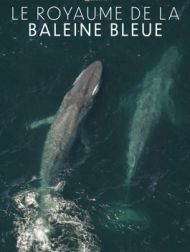 DVD Le Royaume De La Baleine Bleue