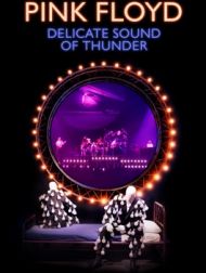 DVD Pink Floyd: Delicate Sound Of Thunder