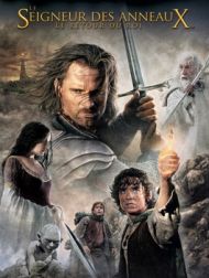 DVD Le Seigneur Des Anneaux : Le Retour Du Roi