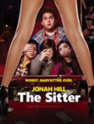 DVD The Sitter