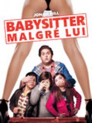 DVD Babysitter Malgré Lui