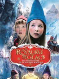 DVD Le Royaume de glace : Les aventuriers de la poudre magique