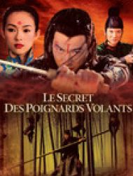 DVD Le secret des poignards volants