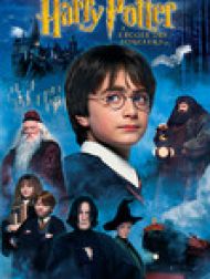 DVD Harry Potter à l'école des sorciers