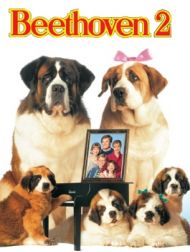 DVD Beethoven 2