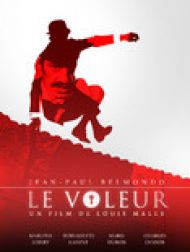 DVD Le voleur