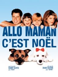 DVD Allo Maman C'est Noël