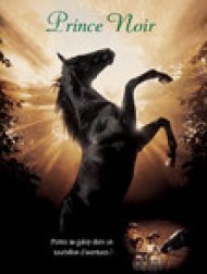DVD Prince Noir, Le