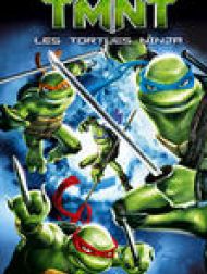 DVD TMNT, Les Tortues Ninja