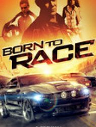 DVD Born to Race (VOST)