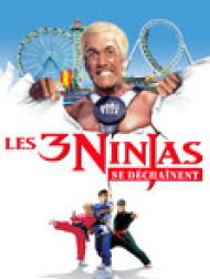 DVD Les 3 Ninjas Se Dechainent