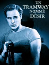 DVD Un Tramway Nommé Désir