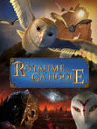 DVD Le Royaume De Ga'Hoole - La Légende Des Gardiens