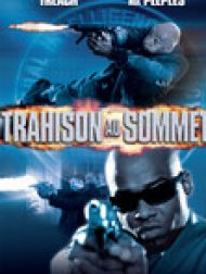 DVD Trahison Au Sommet