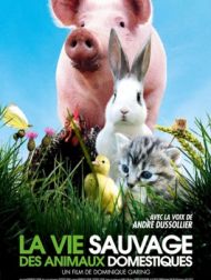 DVD La Vie Sauvage Des Animaux Domestiques