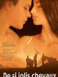 DVD De Si Jolis Chevaux