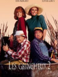 DVD Les grincheux 2