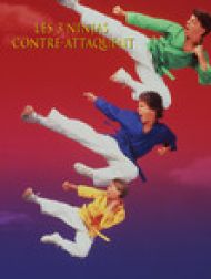 DVD Les 3 ninjas contre-attaquent