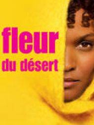 DVD Fleur Du Désert