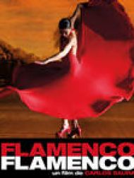 DVD Flamenco Flamenco