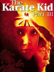 DVD The Karate Kid 3