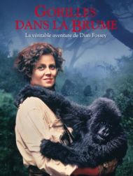 DVD Gorilles Dans La Brume