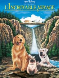 DVD L'incroyable Voyage