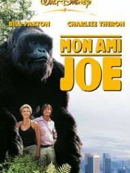 DVD Mon Ami Joe
