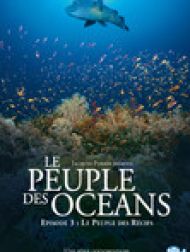DVD Le Peuple Des Oceans : Episode 3 - Le Peuple Des Récifs