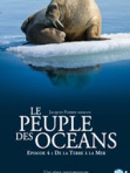 DVD Le Peuple Des Oceans : Episode 4 - De La Terre à La Mer