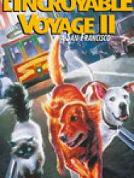DVD L'incroyable Voyage à San Francisco