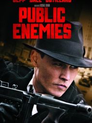 DVD Public Enemies (2009)