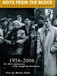 DVD Boys from the Block