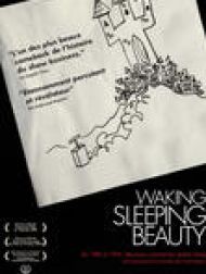 DVD Waking Sleeping Beauty