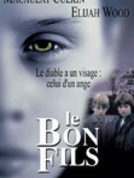 DVD Le Bon Fils