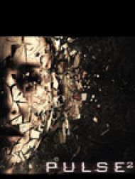 DVD Pulse 2