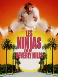 DVD Les Ninjas De Beverly Hills