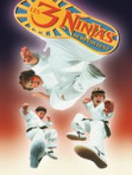DVD 3 Ninjas Knuckle Up