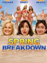 DVD Spring Breakdown