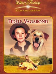 DVD Fidèle Vagabond