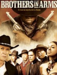 DVD Brothers In Arms