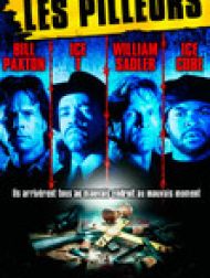 DVD Les pilleurs