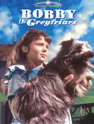 DVD Bobby De Greyfriars